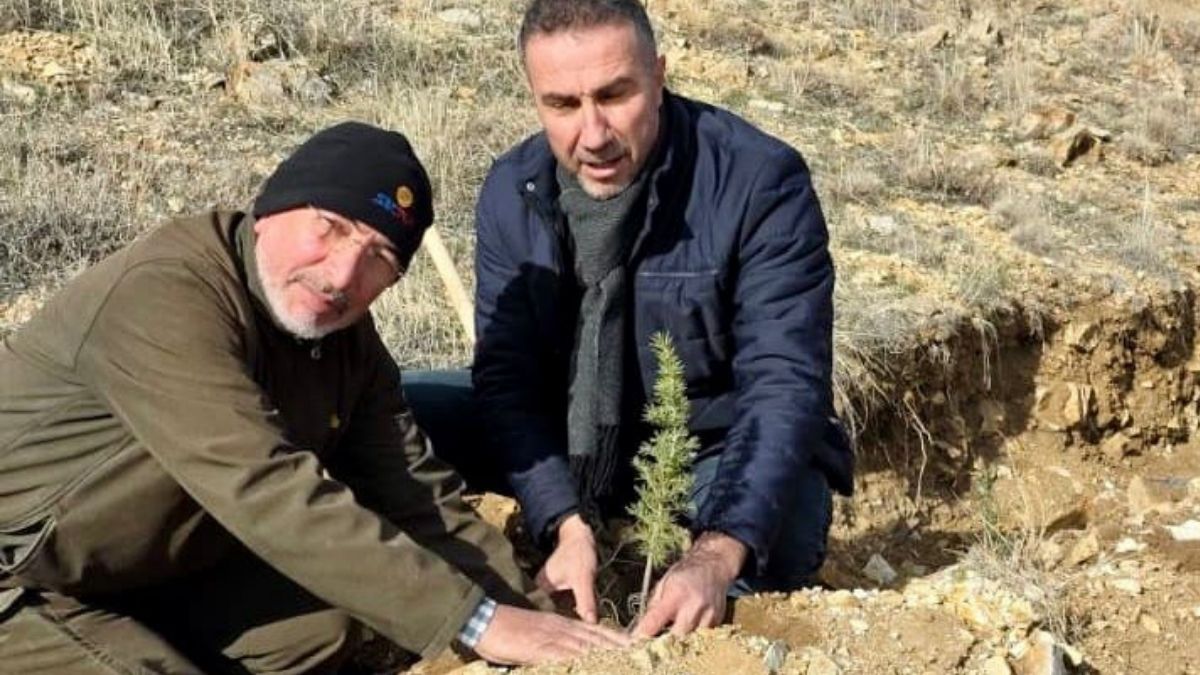 Saadet Fidan Dikimi (1)