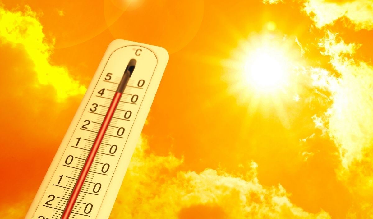 Kayseri Pastırma Yazıp (2)