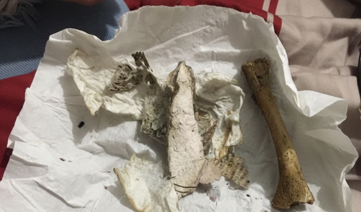 Kayseri'de Büyü Silsilesi Şehir Bu Iddiaları Tartışıyor!4