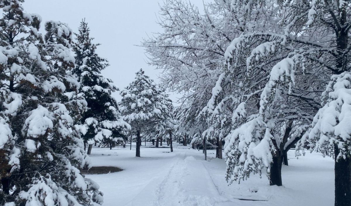 Kayseri’de Soğuk Hava Etkisini Artırıyor! Kar Ve Don Kapıda (2)