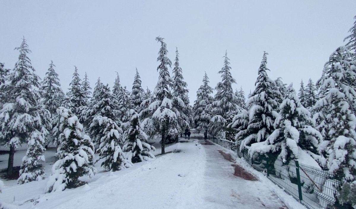 Kayseri’de Soğuk Hava Etkisini Artırıyor! Kar Ve Don Kapıda (3)