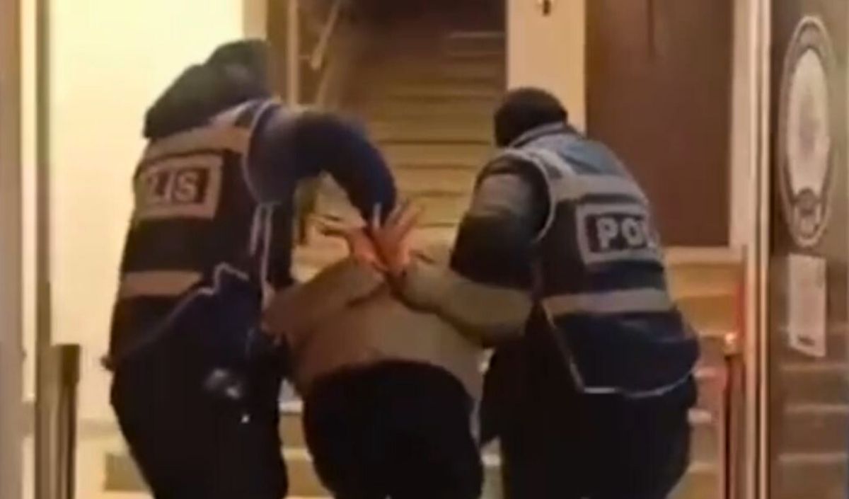 Kedi Maması Dolandırıcı (1)