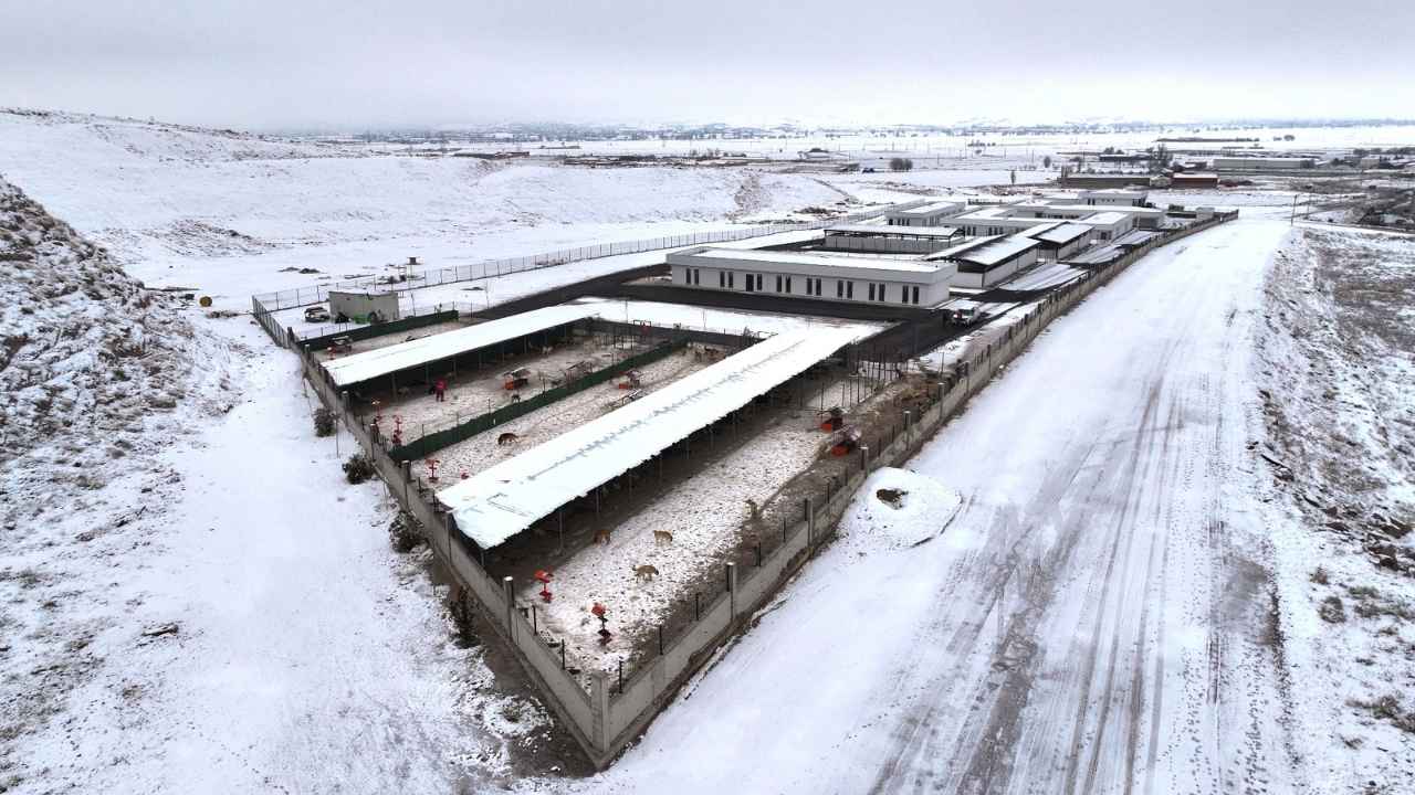 Kocasinan Belediyesi Hayvan Bakım Evi'nin Açılışını Duyurdu!7