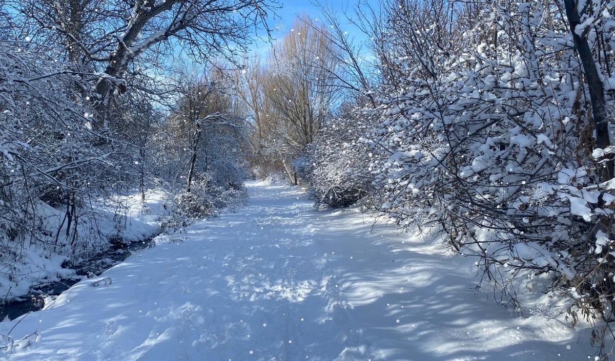 Koramazvadisiyeşildoğayürüyüşgrubu (1)
