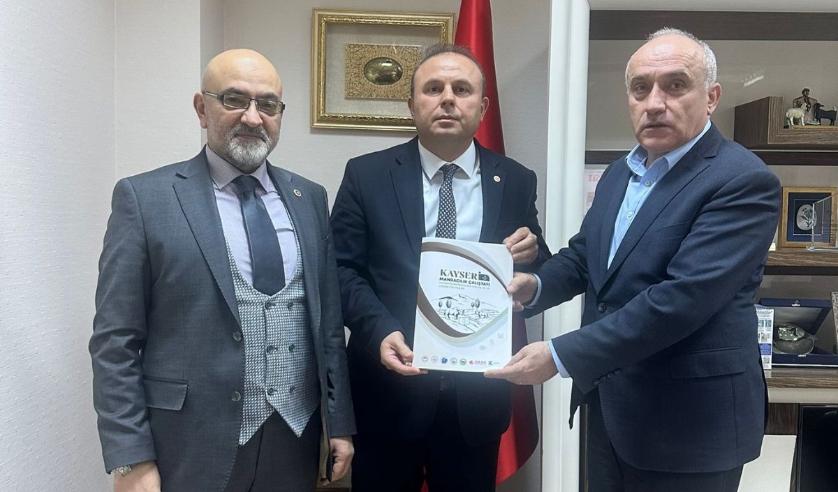 Murat Cahid Cıngı, (1)