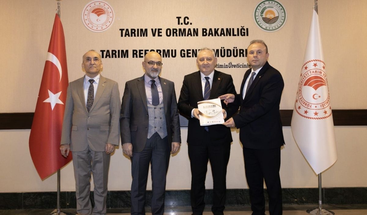 Murat Cahid Cıngı, (3)