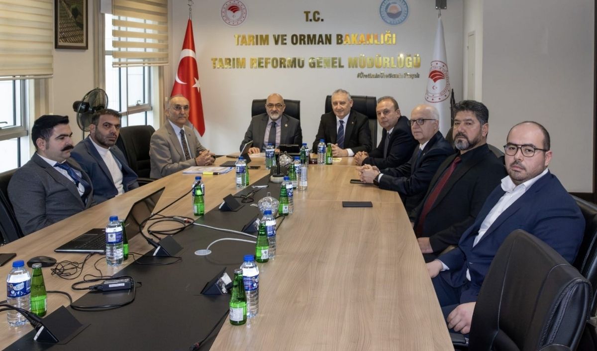 Murat Cahid Cıngı,