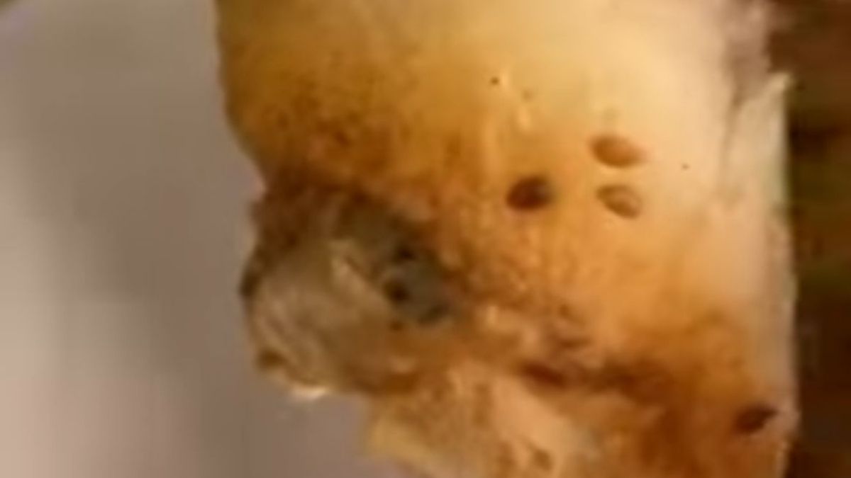 Niğde’de Vatandaşı İsyan Ettiren Olay Ekmeğin İçinden İzmarit Çıktı3