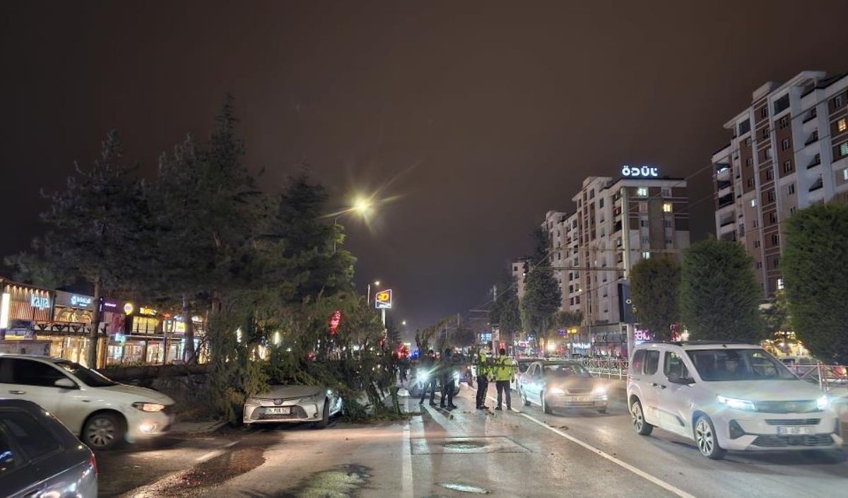 Talas Bahçelievler Ağaç Devrildi (2)