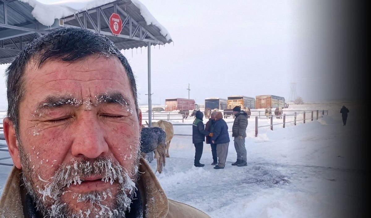 Türkiye’nin En Büyük Hayvan Pazarı Olarak Bilinen Sivas Şarkışla Hayvan Pazarı, Etkili Olan Yoğun Kar Yağışı Ve Ağır Kış Şartları Nedeniyle Geçici Süreyle Kapatıldı.