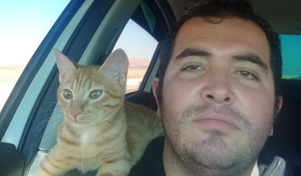 kedi arama macerası