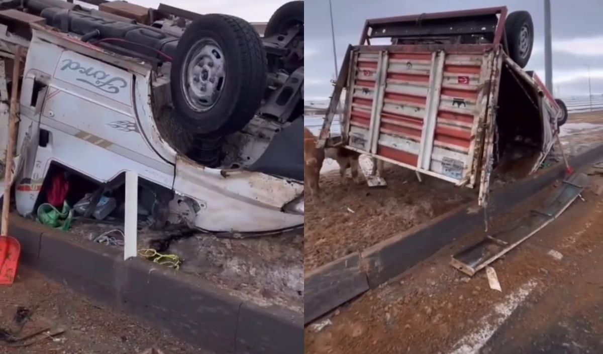 Kayseri Pınarbaşı’nda Büyükbaş Hayvan Taşıyan Kamyonet Devrildi (3)