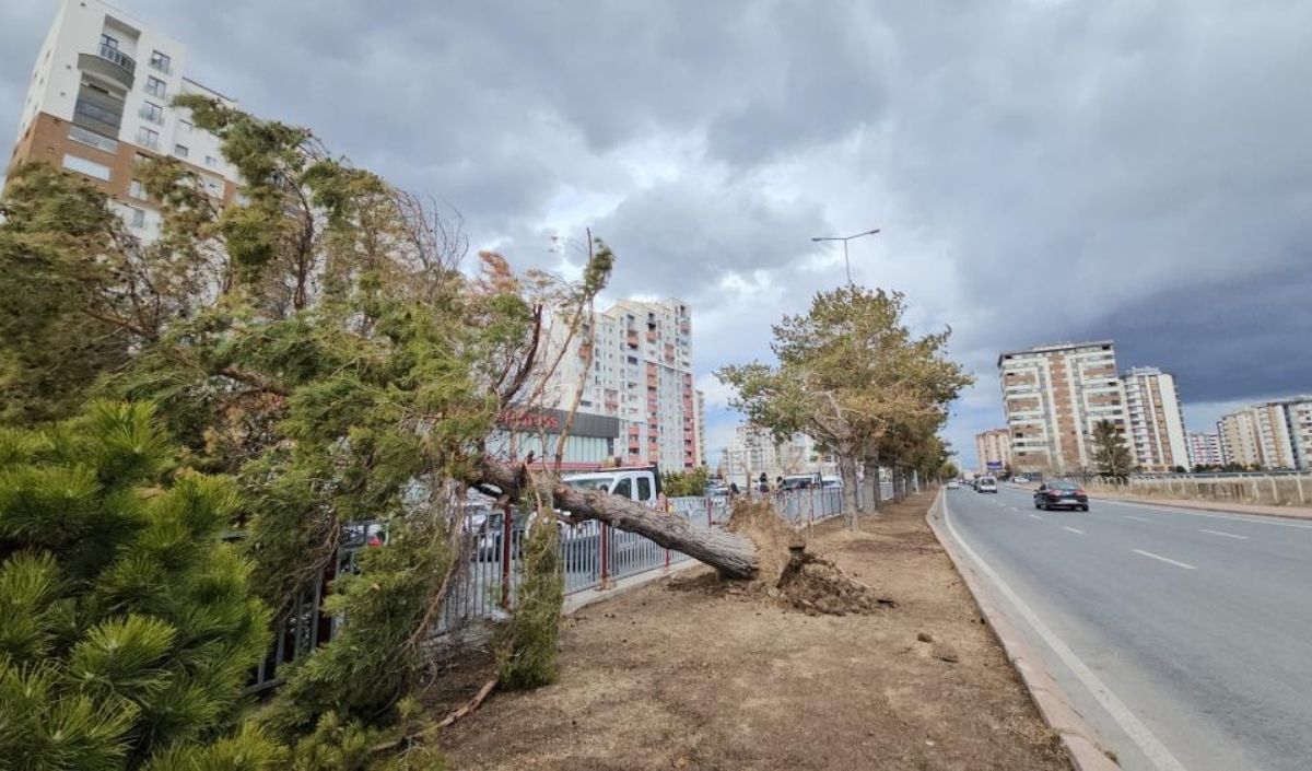 Kayseri Şiddetli Rüzgar Meteoroloji (1)