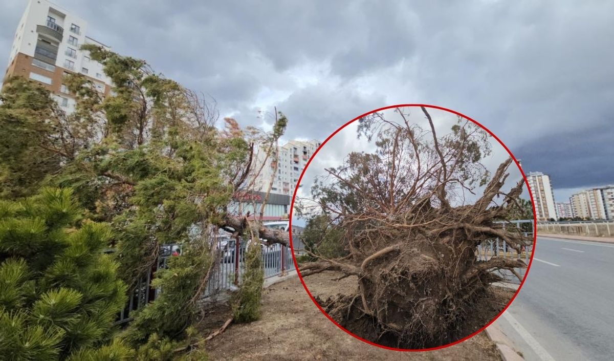 Kayseri Şiddetli Rüzgar Meteoroloji (2)