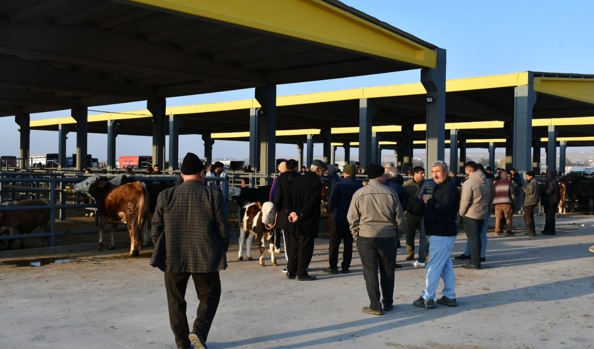 Kayseri Ticaret Borsası Canlı Hayvan Borsası (1)