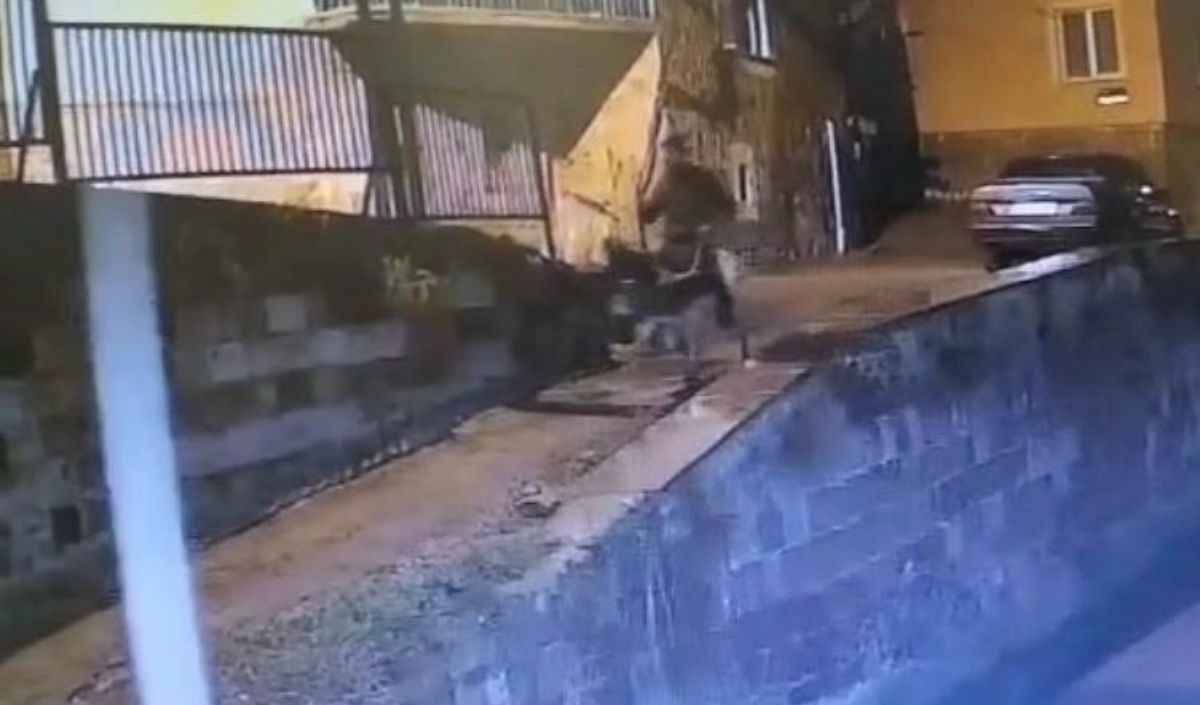 Kayseri'de Hırsız Yakalandı (3)