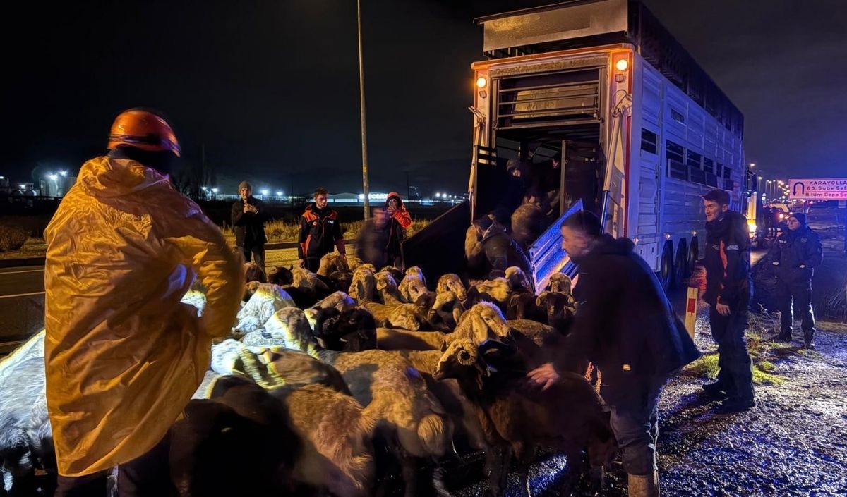 Kayseri’de Karasu Deresi Taştı! 200 Hayvan Tahliye Edildi (1)