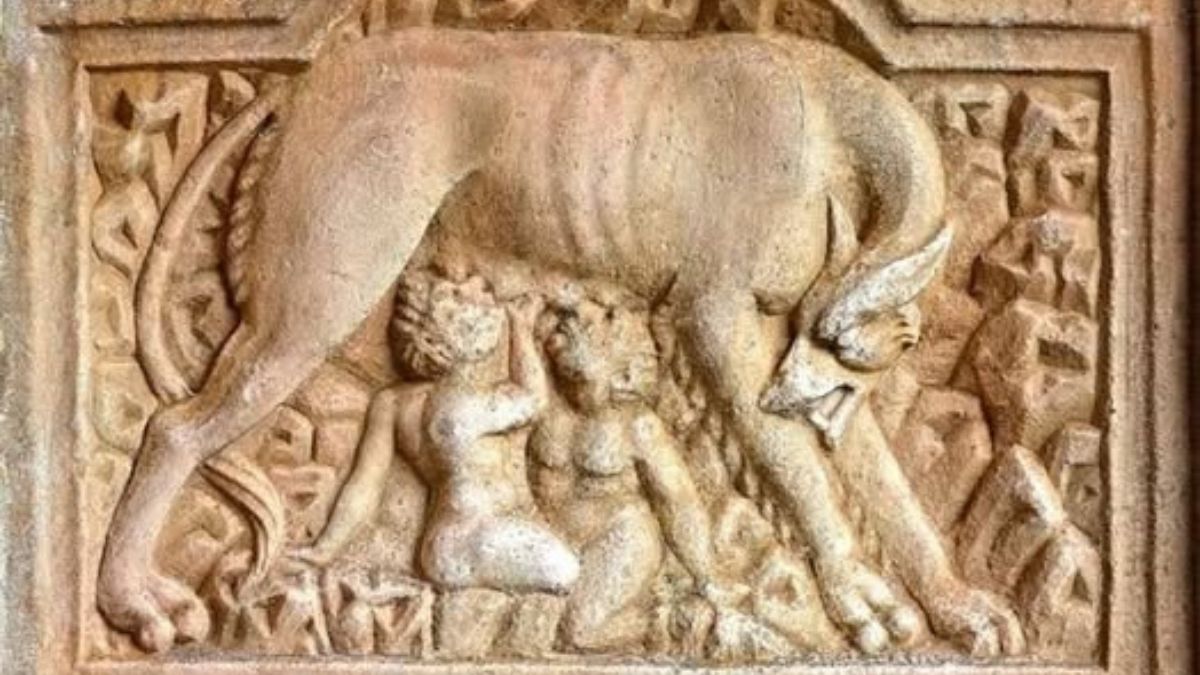 Kayserispor’un Simgesi Neden Kurt (3)