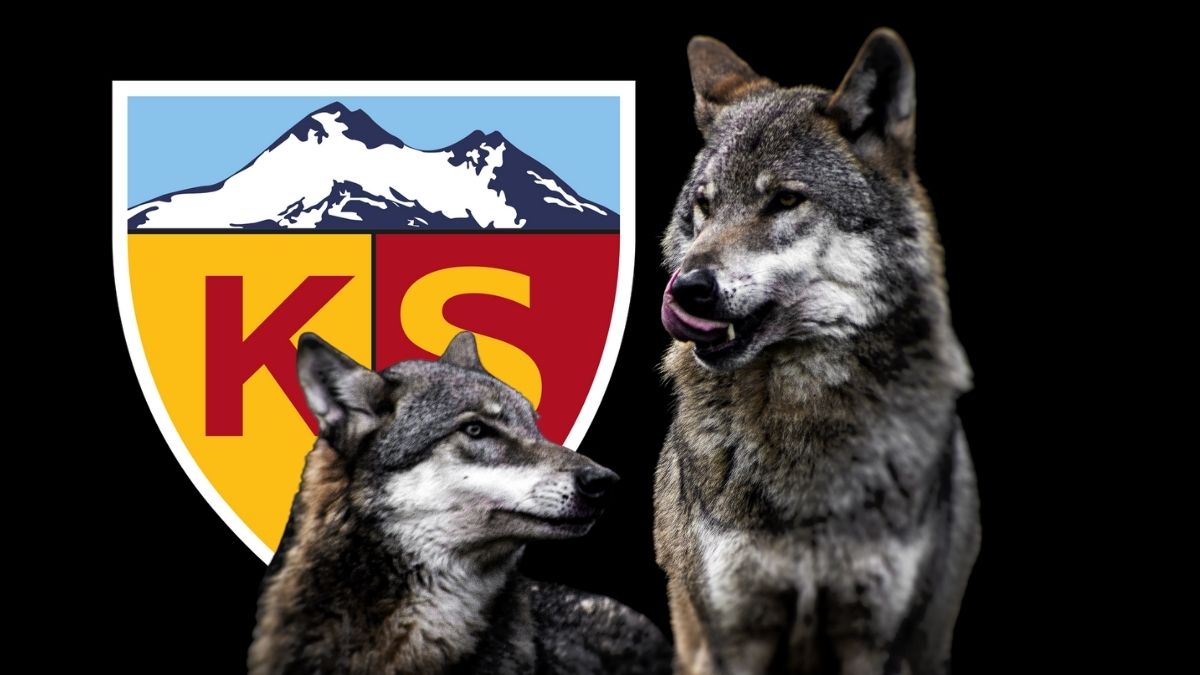 Kayserispor’un Simgesi Neden Kurt (4)